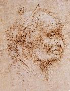 LEONARDO da Vinci Aurelio Luini attributed, profile of an old man oil painting artist